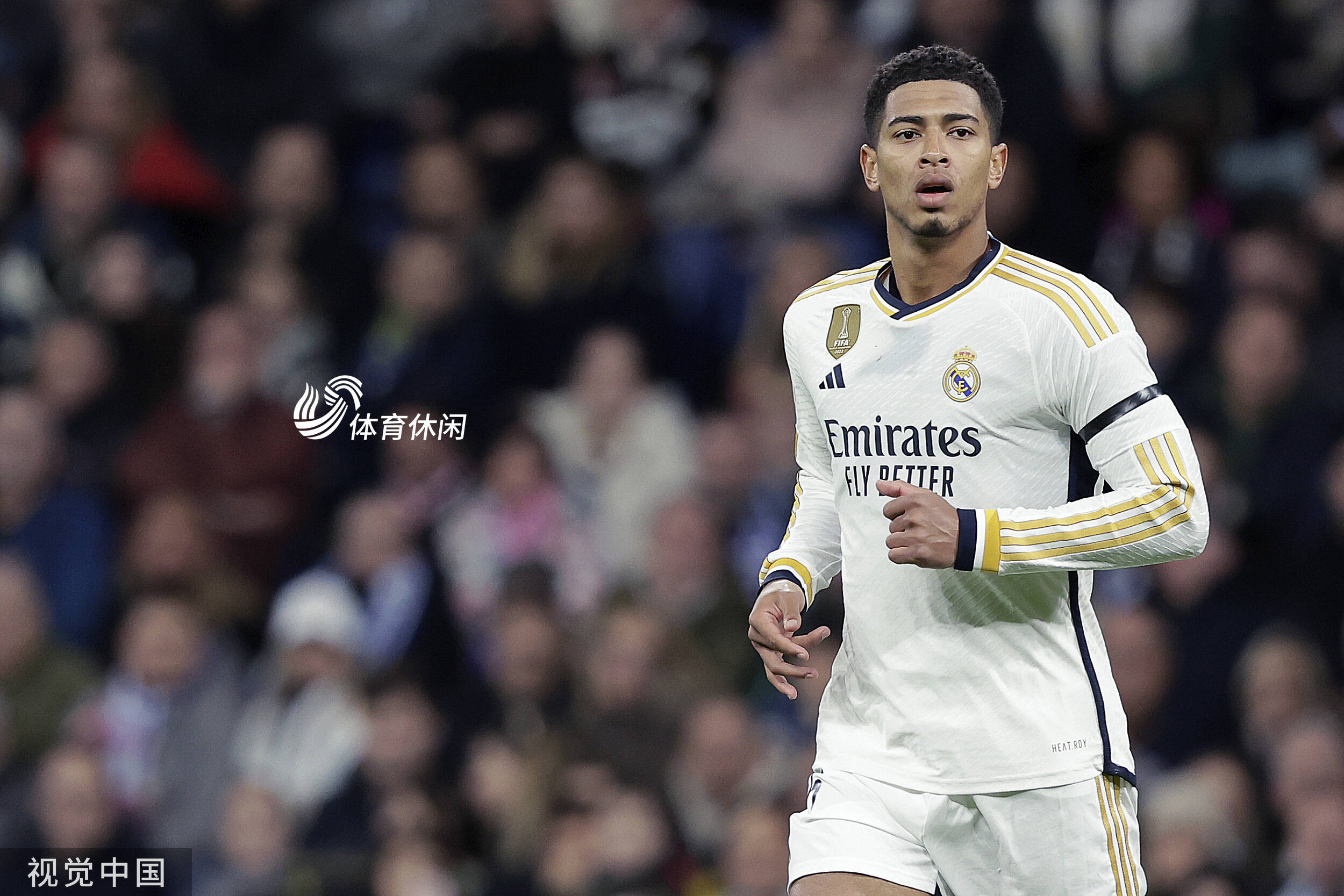 库拉索主帅：加图索一直为失败找借口，我想在世界杯踢意大利（库拉索主帅：加图索总为输球找借口，盼世界杯碰上意大利）