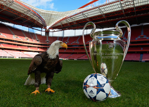 因右踝发炎，朗尼克取消了担任阿森纳vs拜仁解说嘉宾的计划（受右踝炎症影响，朗尼克取消参与阿森纳vs拜仁解说）